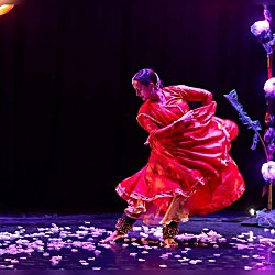 Milap presents NIDA by Sonia Sabri Dance Company