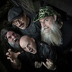 Hayseed Dixie