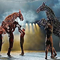 War Horse