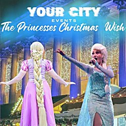The Princesses Christmas Wish