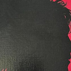 The Cureheads & Siouxsie and the Budgees