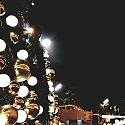 The Light Before Christmas