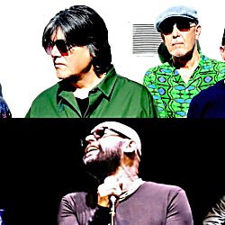 The Blow Monkeys