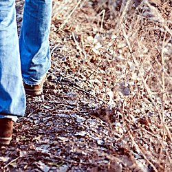 Butterfly Walk