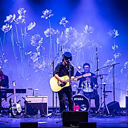 Celebrating 50 Years of Tom Petty & The Heartbreakers