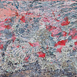 Wirral Society of Arts Autumn Exhibition
