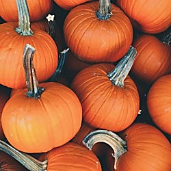 Bonza Party Bingo - A little bit spooky, a whole lot Bonza!