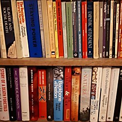 Liverpool Book Market