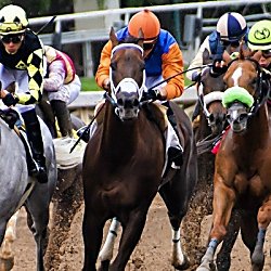 Race Meeting