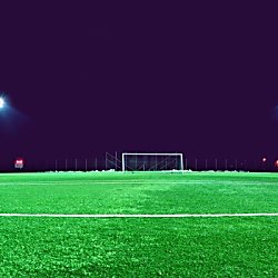 Women's Super League: Everton Vs Brighton and Hove Albion