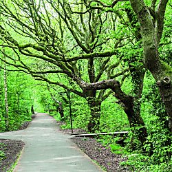 Halewood Park