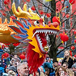 Chinese New Year 2026