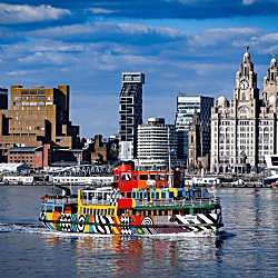 River Cruise & Sightseeing Bus Tour