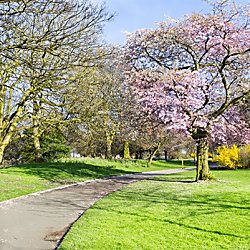 Stanley Park