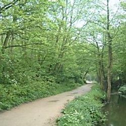 Sankey Valley Country Park & Trail