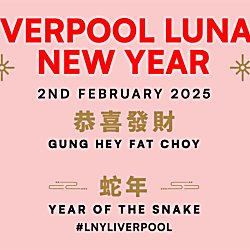 Lunar New Year 2025