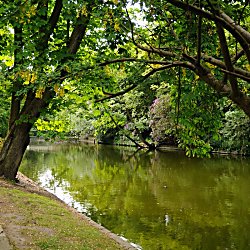 Botanic Gardens