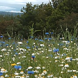 Ness Botanic Gardens
