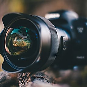 Beginner Wildlife Photography Workshop