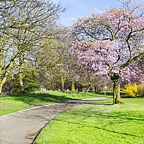 Stanley Park