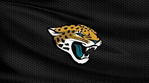 Preseason Game 1: Jacksonville Jaguars v Carolina Panthers