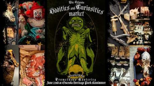 The Orlando Oddities and Curiosities Market