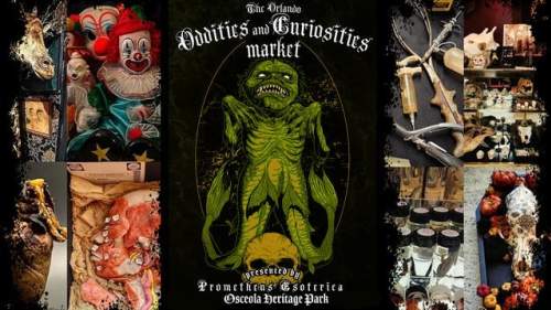 The Orlando Oddities and Curiosities Market