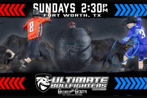 Ultimate Bullfighters 6/22
