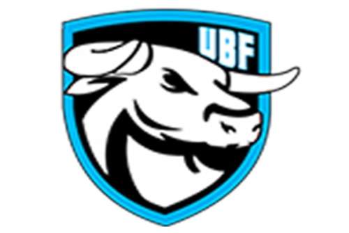Ultimate Bullfighters: Midnight Bullfight