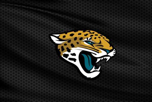 Preseason Game 1 - Pittsburgh Steelers v Jacksonville Jaguars