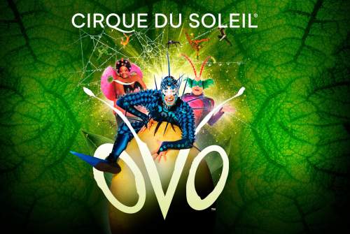 Cirque du Soleil: OVO