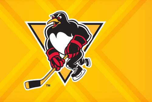 Wilkes Barre Scranton Penguins vs. Providence Bruins