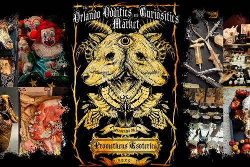 The Orlando Oddities and Curiosities Market