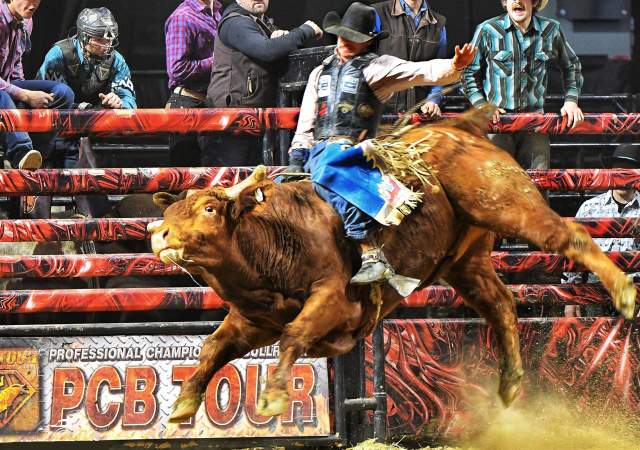 Professional Championship Bull Riders