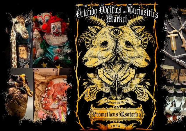 The Orlando Oddities and Curiosities Market