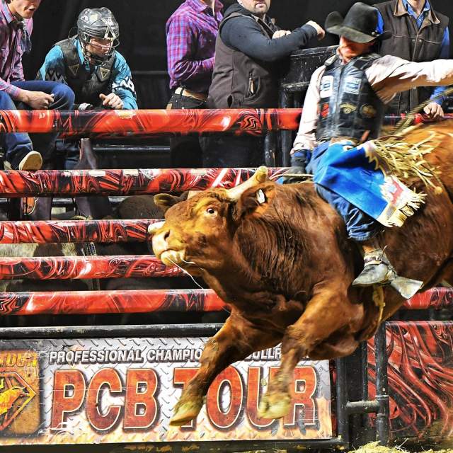 Professional Championship Bull Riders