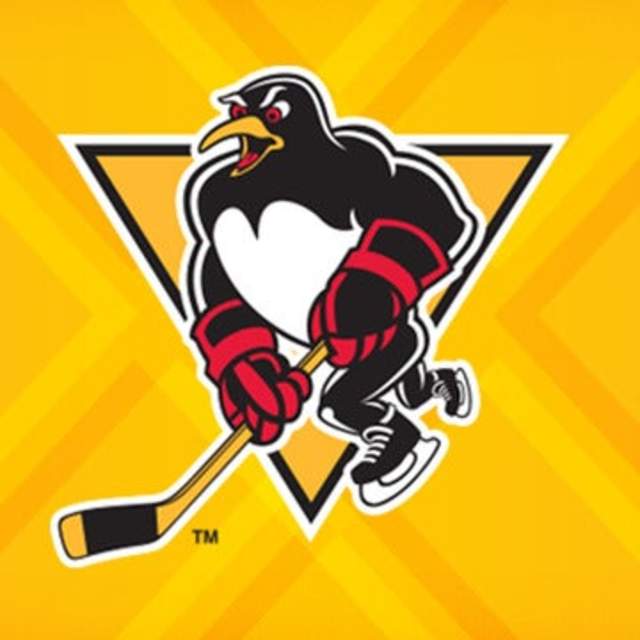 Round 3 Home Game 1: WBS Penguins Vs. Springfield Thunderbirds