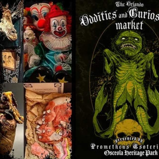 The Orlando Oddities and Curiosities Market