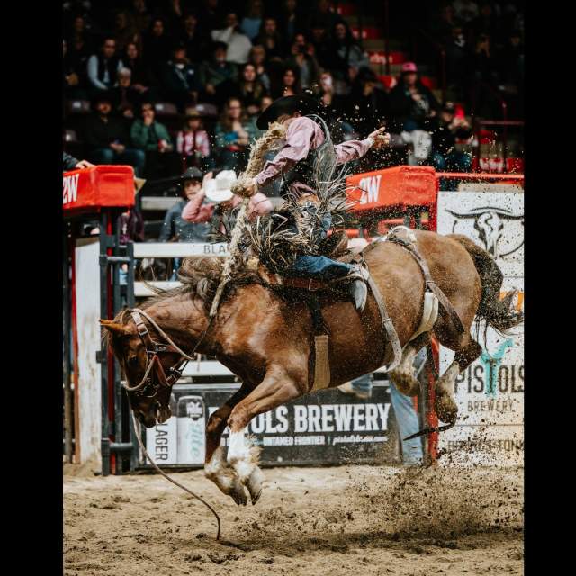 Moncton KIOTI Stampede