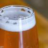 Visit 7 Craft Breweries in Muskegon, Michigan