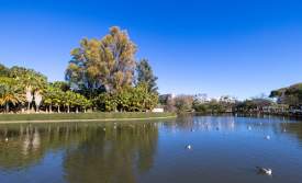 Parque de la Paloma