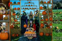 Killarney Pumpkin Farm