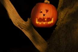 Big Wild Halloween Party 2026