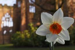 Free Easter Trail at Coventry Cathedral