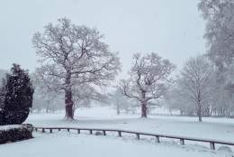 Forest Of Arden Christmas 2025