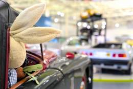 Easter Egg-citement at the Museum!