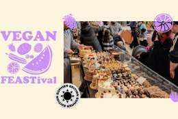 Summer Vegan Feastival
