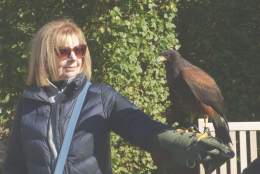 ‘Love Birds’ Falconry Experience for St. Valentine’s Day