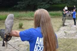 Junior Falconry Experience