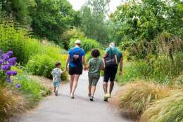Birmingham Botanical Gardens